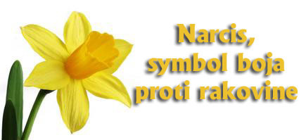 narcis_logo